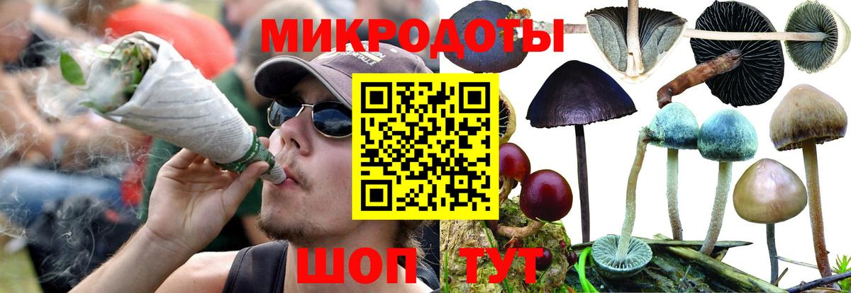 купить   Вход с VPN  Апрелевка  Галлюциногенные грибы GOLDEN TEACHER 